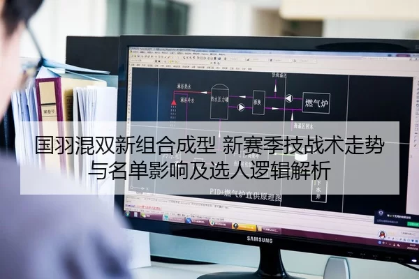 国羽混双新组合成型 新赛季技战术走势与名单影响及选人逻辑解析